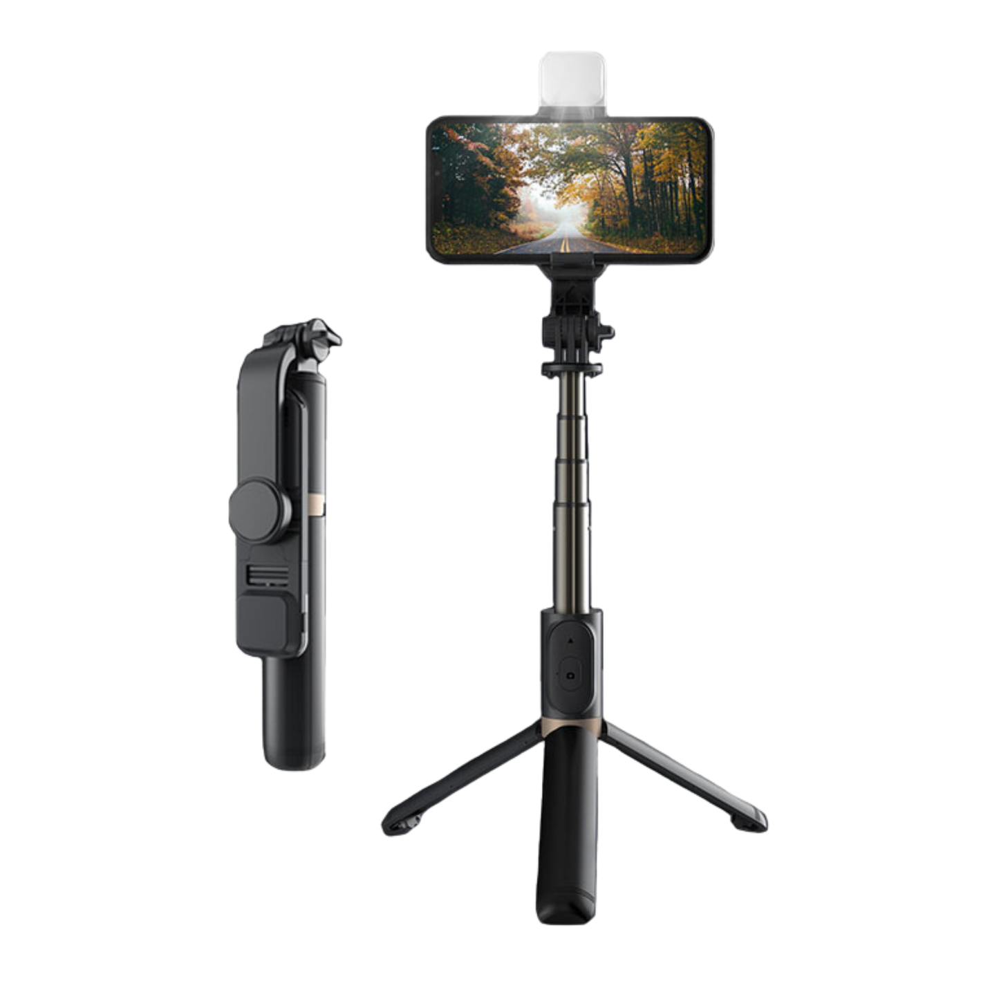 Content Creation - Q03 TRIPOD