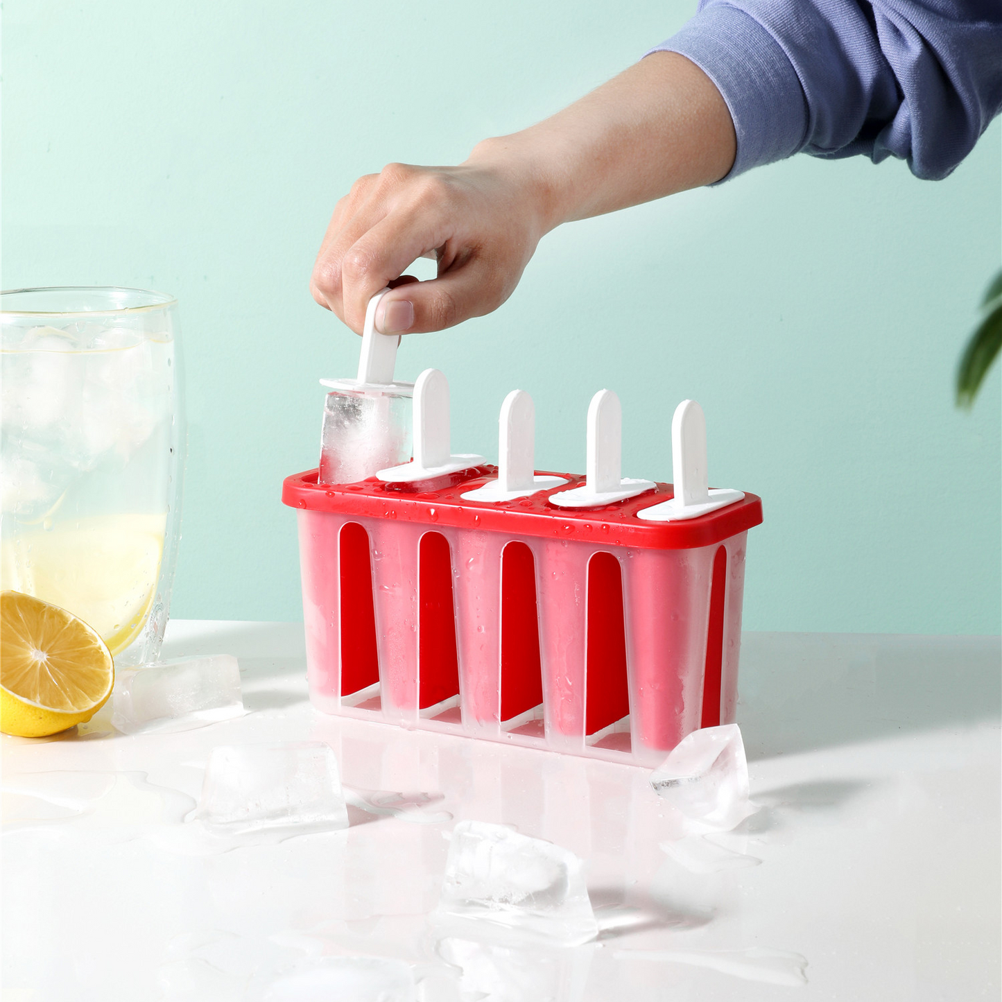 5-Compartment Popsicle Grinder