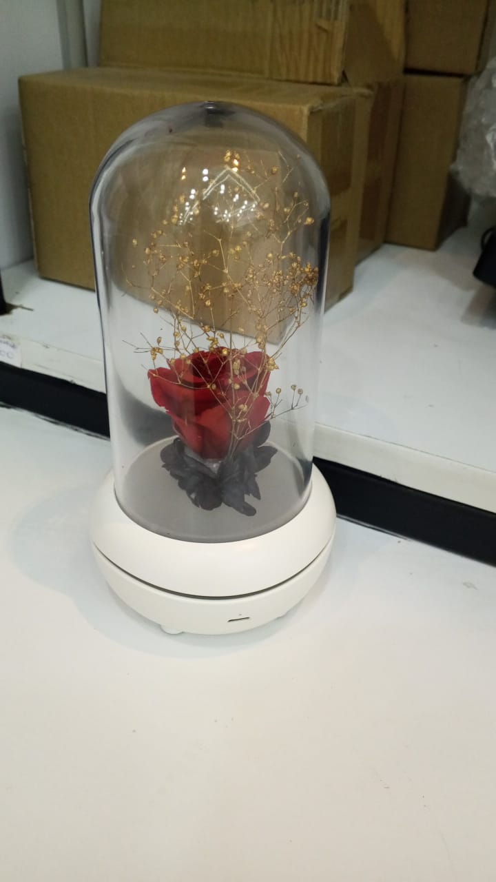 Herwey LED Fragrance Lamp Essential Oil Aroma Diffuser Night Light Bedroom Desktop D HG