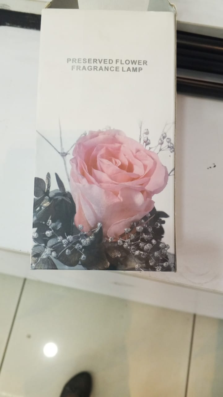 Herwey LED Fragrance Lamp Essential Oil Aroma Diffuser Night Light Bedroom Desktop D HG