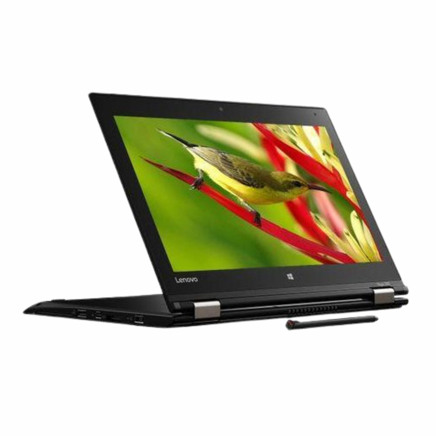 Lenovo Yoga 260 i5 6th Gen 8GB/256GB Laptop