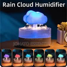 RAIN HUMIDIFIER