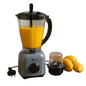 ROCH RBL-376-D 2-in-1 Blender