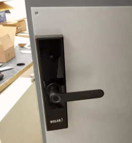 Bolesi Intelligent SmartLock – Secure, Reliable & Easy to Use