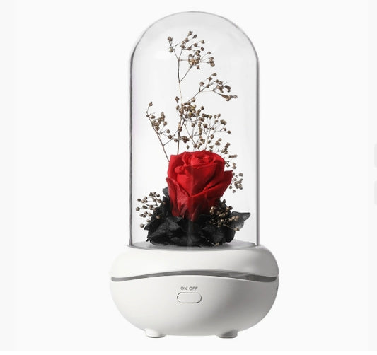 LIGHT FRAGRANCE
