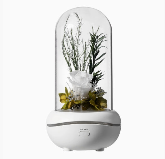 LIGHT FRAGRANCE