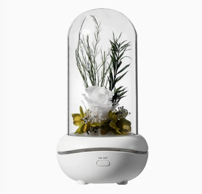 LIGHT FRAGRANCE