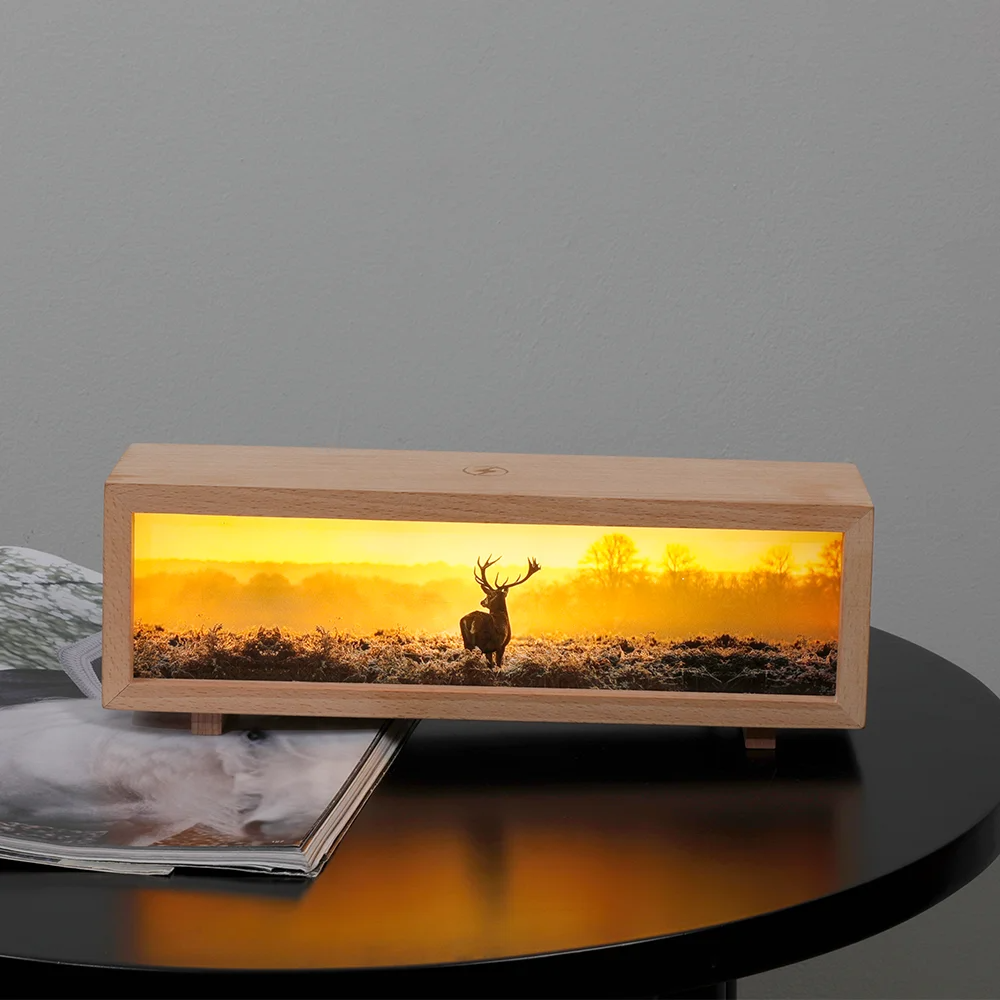 Wireless Charging Lamp