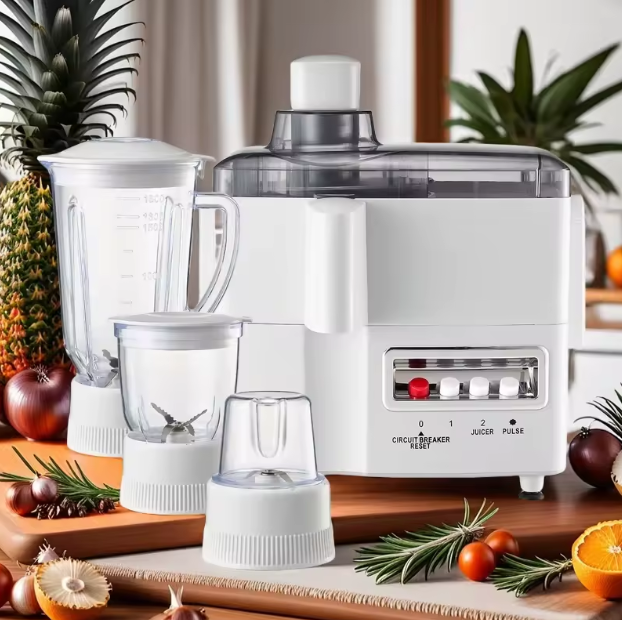 Roch 4-in-1 Multi-Functional Juicer; Food Processor