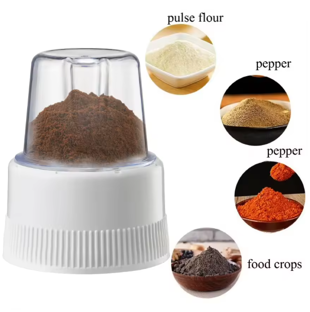 Roch 4-in-1 Multi-Functional Juicer; Food Processor