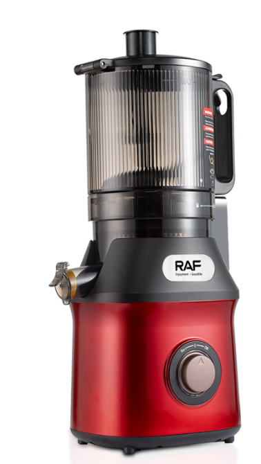 RAF R.2733 Wholesale Easy Clean Slow Juicer Quiet Motor Easy Assembly New Trend Slow Juicer