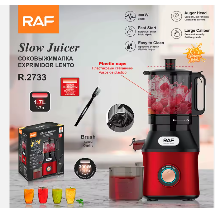 RAF R.2733 Wholesale Easy Clean Slow Juicer Quiet Motor Easy Assembly New Trend Slow Juicer