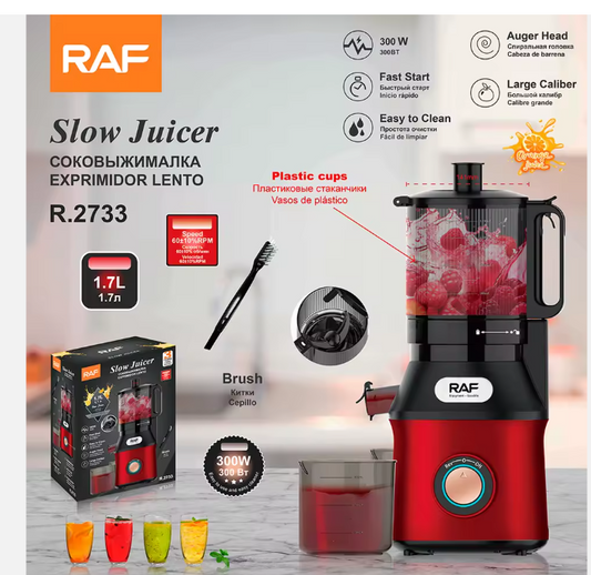 RAF R.2733 Wholesale Easy Clean Slow Juicer Quiet Motor Easy Assembly New Trend Slow Juicer