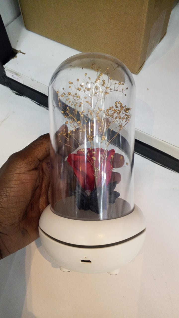 Herwey LED Fragrance Lamp Essential Oil Aroma Diffuser Night Light Bedroom Desktop D HG