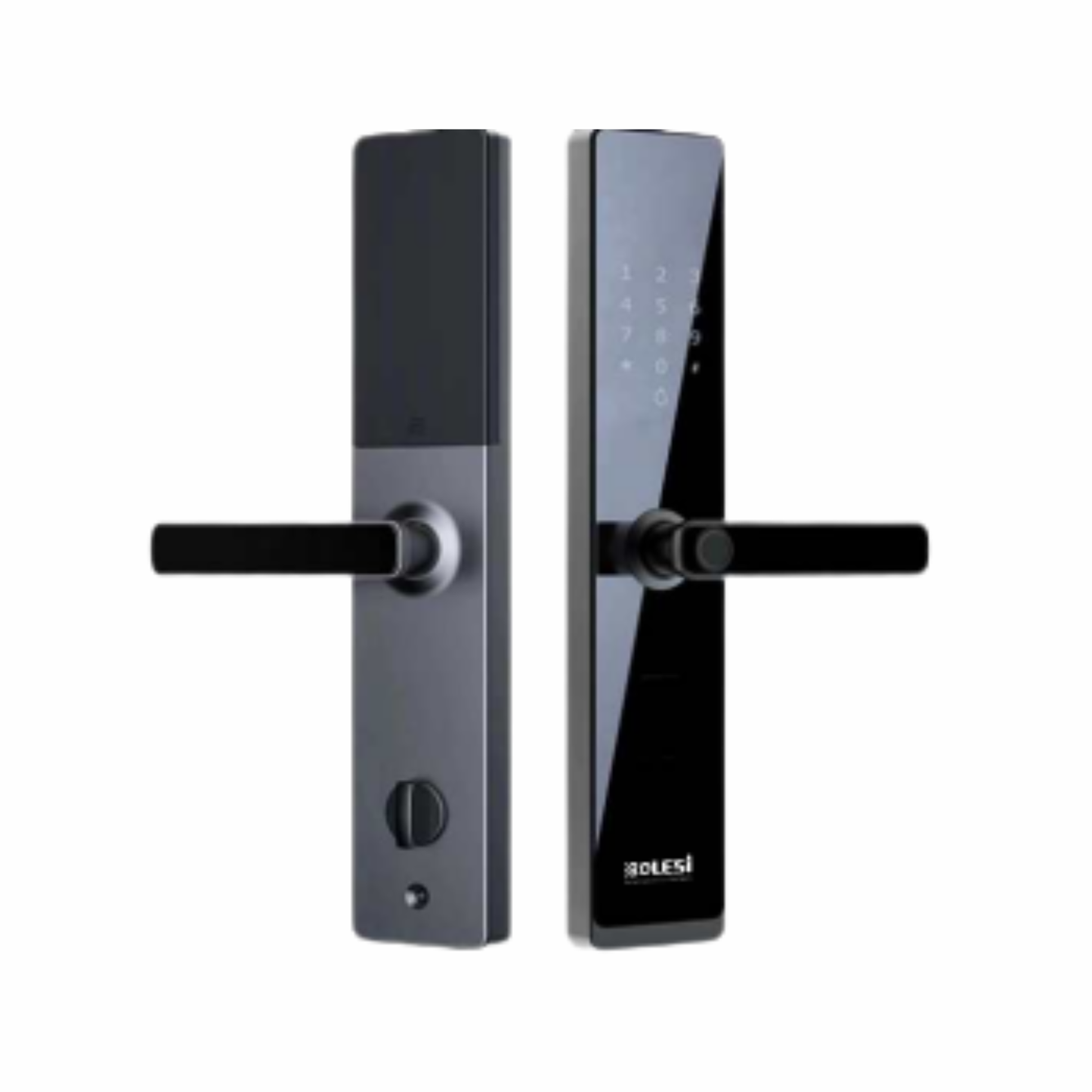 BOLESI INTELLIGENT SMARTLOCK