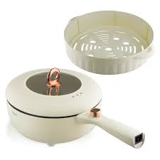 multifunctional ELECTRIC POT R5401