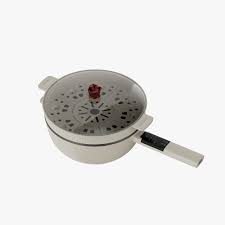 multifunctional ELECTRIC POT R5401