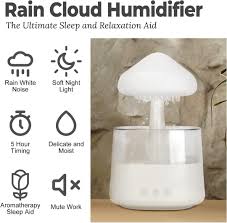 RAIN HUMIDIFIER