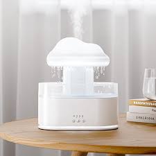 RAIN HUMIDIFIER