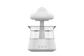 RAIN HUMIDIFIER